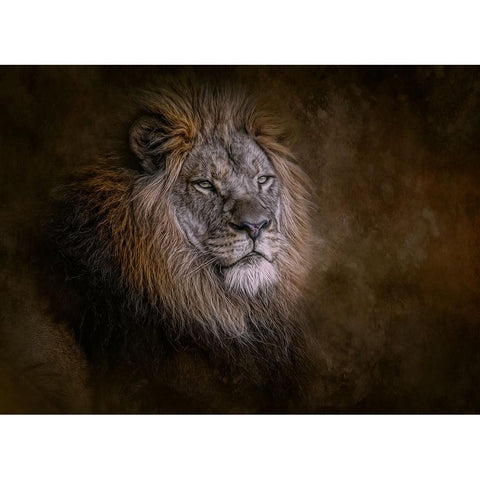 Inner Strength White Modern Wood Framed Art Print by Parker, Kelley