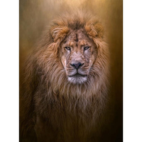 Thy Kingdom Come Black Modern Wood Framed Art Print with Double Matting by Parker, Kelley