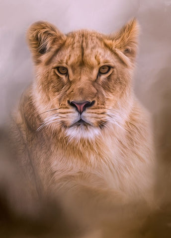 Dignity Black Ornate Wood Framed Art Print with Double Matting by Parker, Kelley