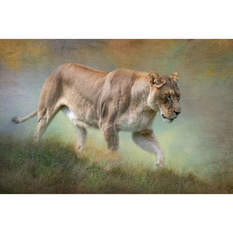 Its All Downhill Gold Ornate Wood Framed Art Print with Double Matting by Parker, Kelley