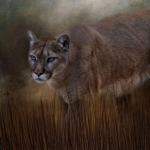 Waiting on the Hunt White Modern Wood Framed Art Print by Parker, Kelley