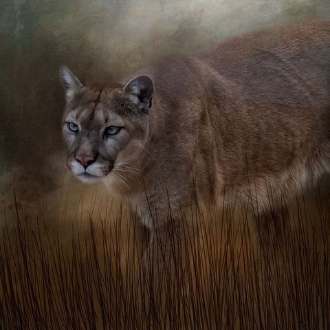 Waiting on the Hunt Black Ornate Wood Framed Art Print with Double Matting by Parker, Kelley