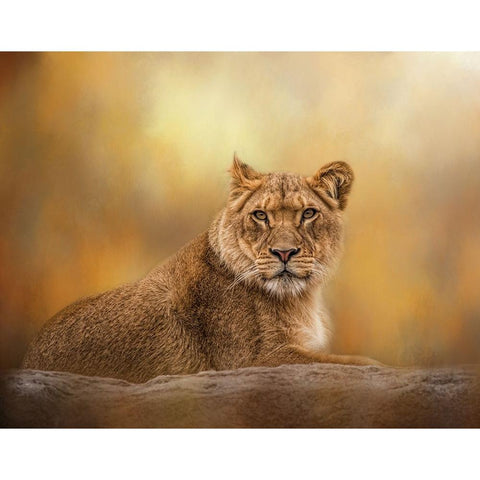 Dawning of the Day Black Modern Wood Framed Art Print with Double Matting by Parker, Kelley