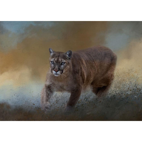 Need for Speed White Modern Wood Framed Art Print by Parker, Kelley