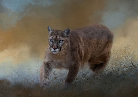 Need for Speed Black Ornate Wood Framed Art Print with Double Matting by Parker, Kelley