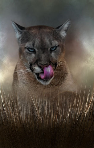 Tasty White Modern Wood Framed Art Print with Double Matting by Parker, Kelley