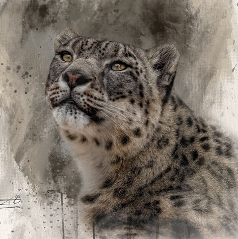 Snow Royalty Black Ornate Wood Framed Art Print with Double Matting by Parker, Kelley