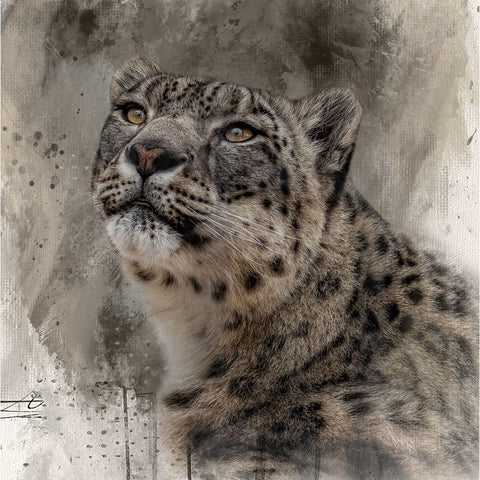 Snow Royalty White Modern Wood Framed Art Print by Parker, Kelley