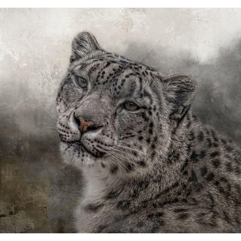 Face of the Wild Gold Ornate Wood Framed Art Print with Double Matting by Parker, Kelley