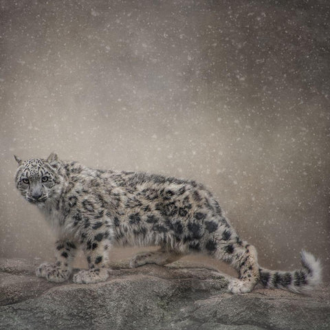 Brave Enough Gold Ornate Wood Framed Art Print with Double Matting by Parker, Kelley