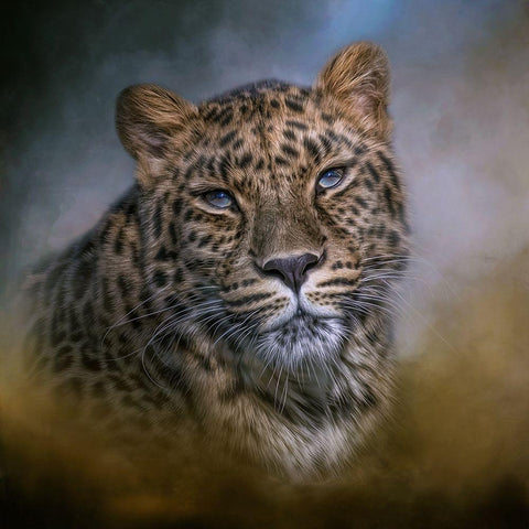 Daydreamer White Modern Wood Framed Art Print by Parker, Kelley