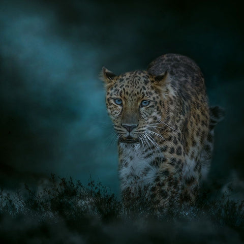 Blues Traveler Black Ornate Wood Framed Art Print with Double Matting by Parker, Kelley