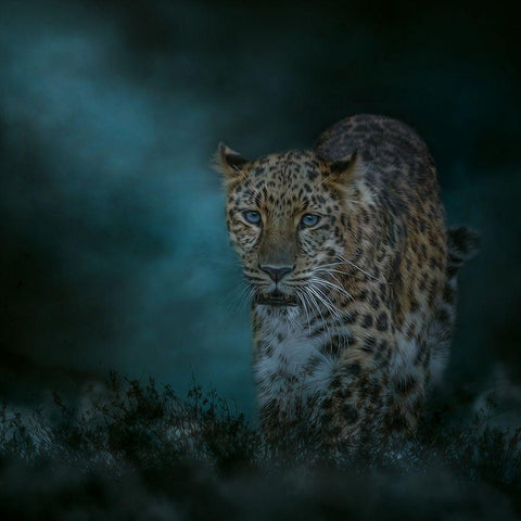 Blues Traveler Black Modern Wood Framed Art Print with Double Matting by Parker, Kelley