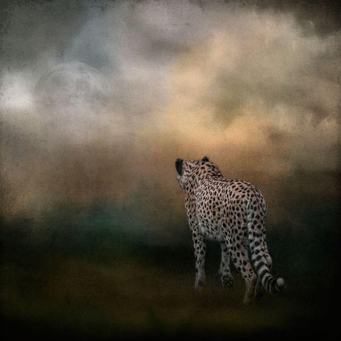 Heading Home Black Modern Wood Framed Art Print with Double Matting by Parker, Kelley