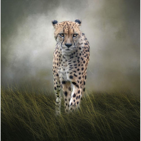 On the Move Gold Ornate Wood Framed Art Print with Double Matting by Parker, Kelley