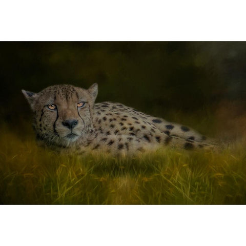 Resting After the Race Gold Ornate Wood Framed Art Print with Double Matting by Parker, Kelley