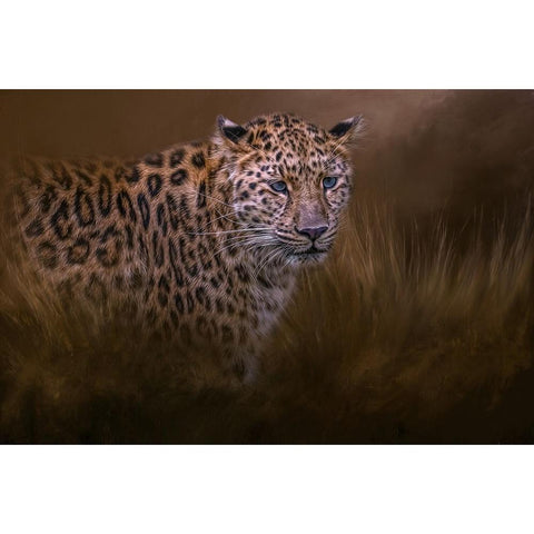 Spotted Hunter Gold Ornate Wood Framed Art Print with Double Matting by Parker, Kelley