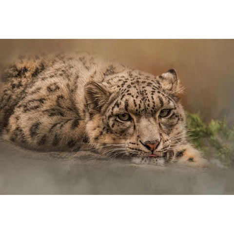 Taking It Easy Black Modern Wood Framed Art Print with Double Matting by Parker, Kelley