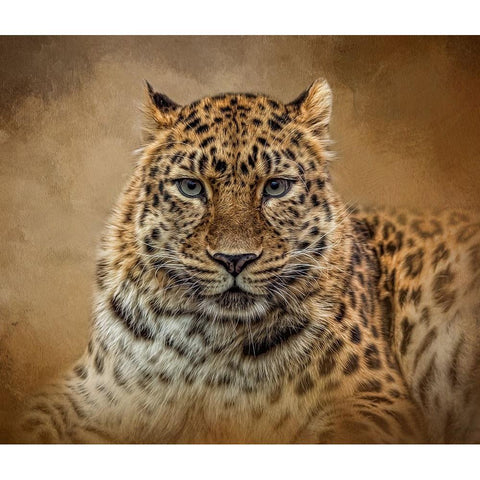 The Stare Gold Ornate Wood Framed Art Print with Double Matting by Parker, Kelley