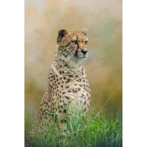 Waiting Patiently Black Modern Wood Framed Art Print with Double Matting by Parker, Kelley