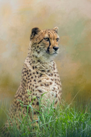 Waiting Patiently White Modern Wood Framed Art Print with Double Matting by Parker, Kelley