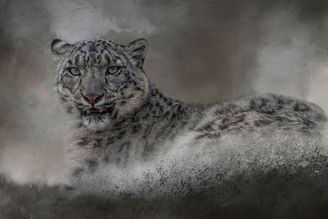 The Legend White Modern Wood Framed Art Print with Double Matting by Parker, Kelley