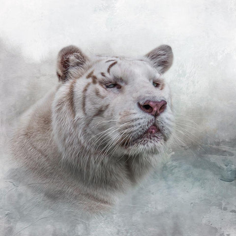 White Wizard Gold Ornate Wood Framed Art Print with Double Matting by Parker, Kelley