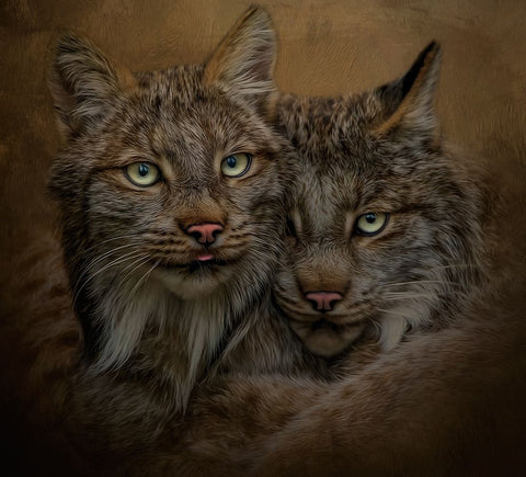 Soul Mates White Modern Wood Framed Art Print with Double Matting by Parker, Kelley