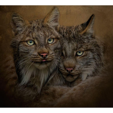 Soul Mates White Modern Wood Framed Art Print by Parker, Kelley