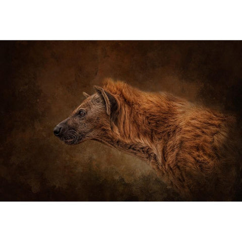 Beastly Black Modern Wood Framed Art Print by Parker, Kelley