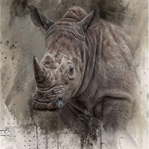 Spirit of the Rhino Gold Ornate Wood Framed Art Print with Double Matting by Parker, Kelley
