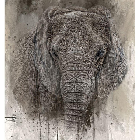 The Ancient One Gold Ornate Wood Framed Art Print with Double Matting by Parker, Kelley