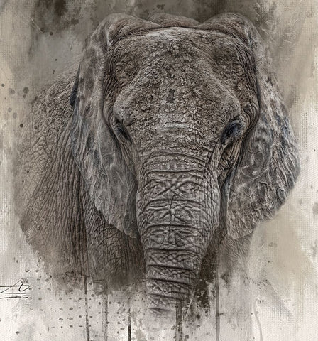 The Ancient One Black Ornate Wood Framed Art Print with Double Matting by Parker, Kelley