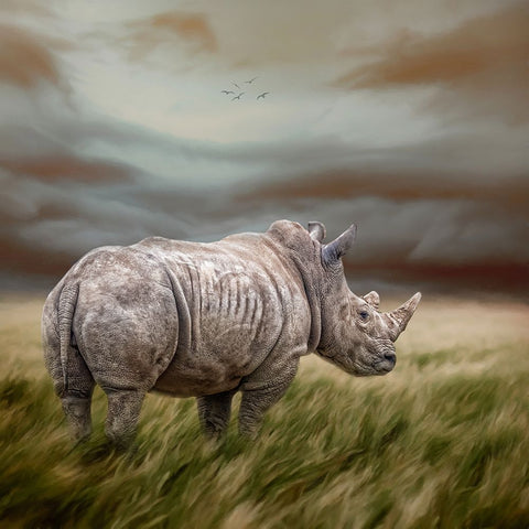 Rough and Ready Black Ornate Wood Framed Art Print with Double Matting by Parker, Kelley