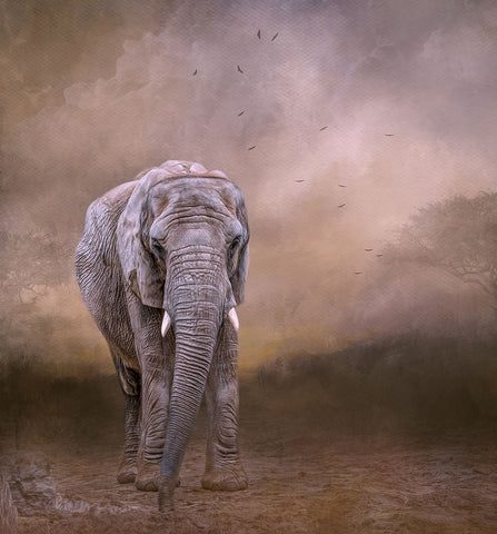 The Elderly Matriarch Black Ornate Wood Framed Art Print with Double Matting by Parker, Kelley