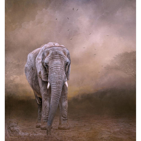 The Elderly Matriarch Black Modern Wood Framed Art Print by Parker, Kelley