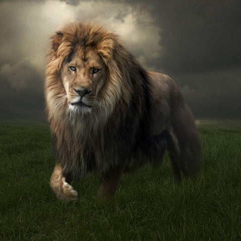 The True King Black Modern Wood Framed Art Print with Double Matting by Parker, Kelley