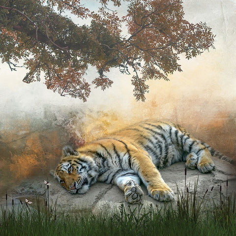 Lazy Afternoon Black Ornate Wood Framed Art Print with Double Matting by Parker, Kelley