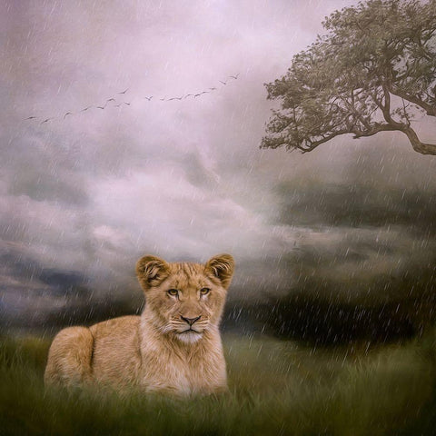 Beginning to Rain Gold Ornate Wood Framed Art Print with Double Matting by Parker, Kelley