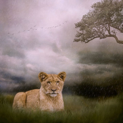 Beginning to Rain White Modern Wood Framed Art Print with Double Matting by Parker, Kelley