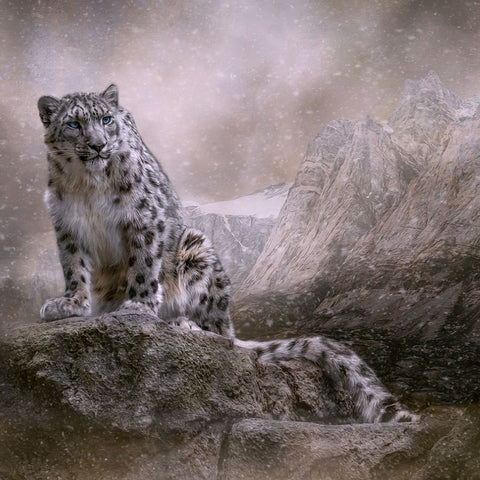 Edge of the Storm Black Ornate Wood Framed Art Print with Double Matting by Parker, Kelley