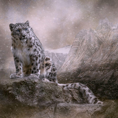 Edge of the Storm Gold Ornate Wood Framed Art Print with Double Matting by Parker, Kelley