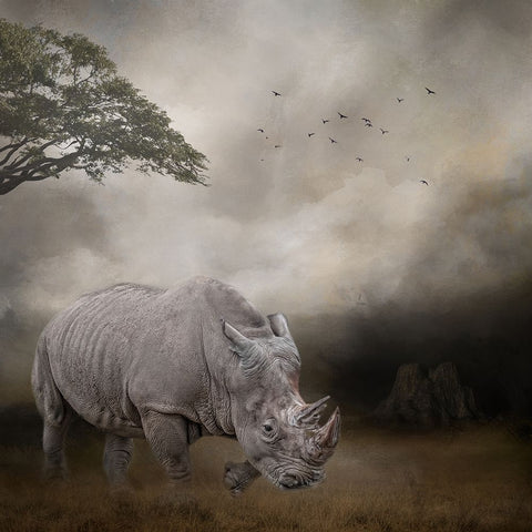 Lord of the Plains White Modern Wood Framed Art Print with Double Matting by Parker, Kelley