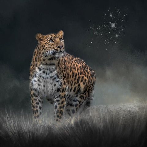 Neverending Dreamer Gold Ornate Wood Framed Art Print with Double Matting by Parker, Kelley