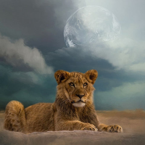 What the Future Holds White Modern Wood Framed Art Print with Double Matting by Parker, Kelley