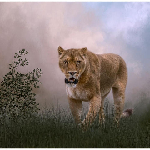 Daily Prowl Black Modern Wood Framed Art Print by Parker, Kelley