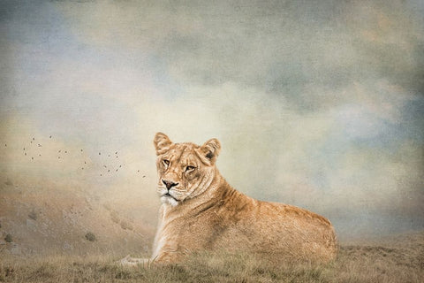 New Day Black Ornate Wood Framed Art Print with Double Matting by Parker, Kelley