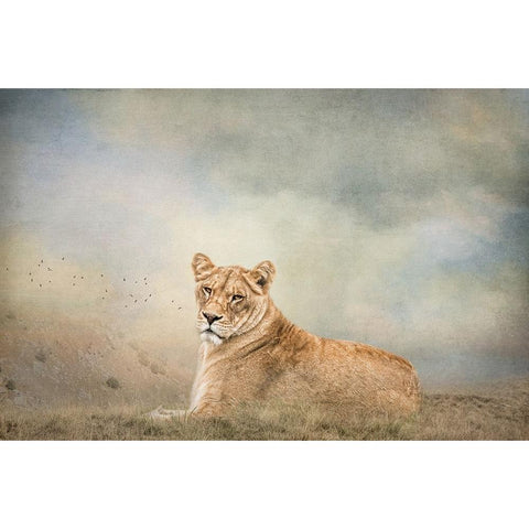 New Day Black Modern Wood Framed Art Print by Parker, Kelley