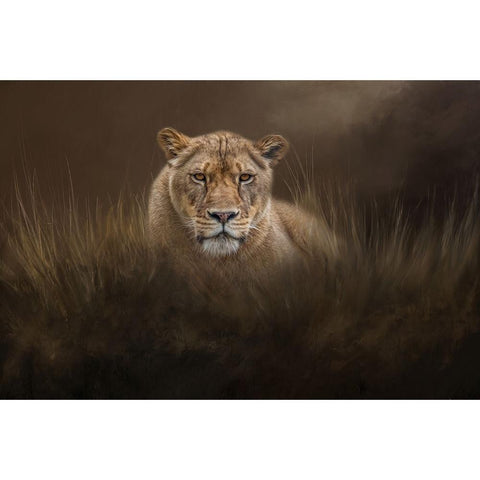 Hiding in the Grass Gold Ornate Wood Framed Art Print with Double Matting by Parker, Kelley