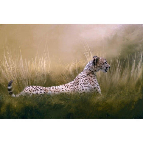 Hidden Danger Gold Ornate Wood Framed Art Print with Double Matting by Parker, Kelley